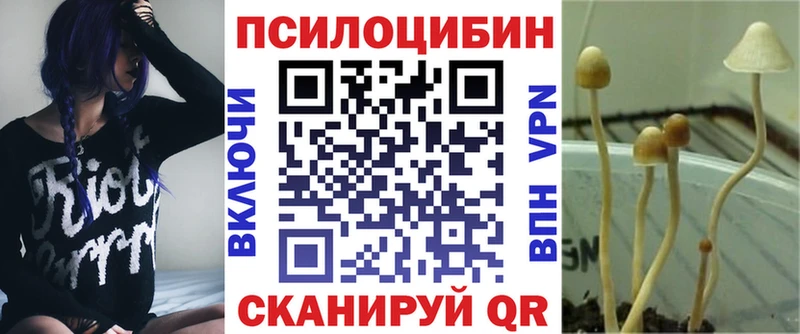 наркошоп  Городовиковск  Галлюциногенные грибы мухоморы 